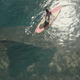 Image for article titled Today's Trailer Happy Hour has a big shark, big comedy, and a big family
